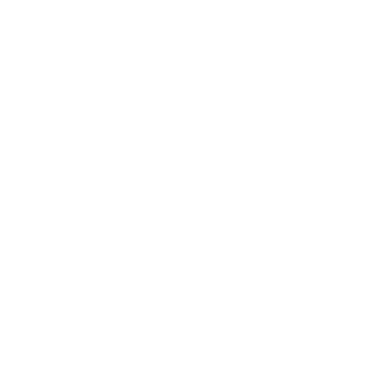 Paseo por la vida